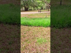 Technologie innovante Panneau solaire portable de 100 W pour les aventures en plein air